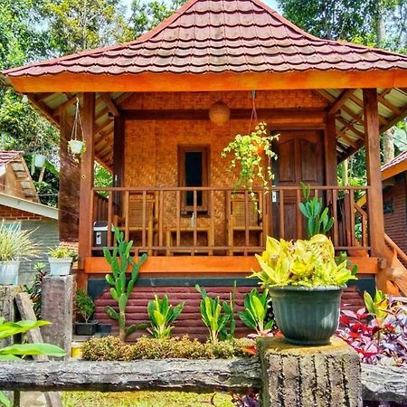 Pondok Rinjani Bungalow 테테바투 외부 사진