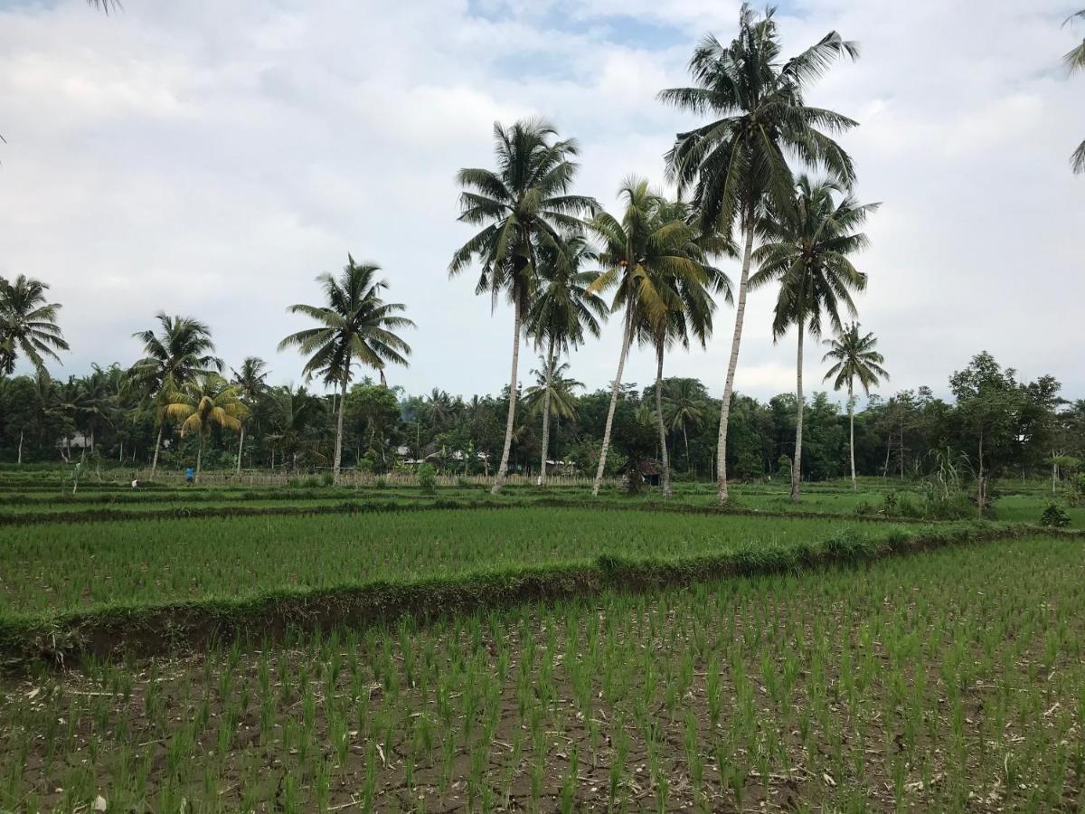 Pondok Rinjani Bungalow 테테바투 외부 사진