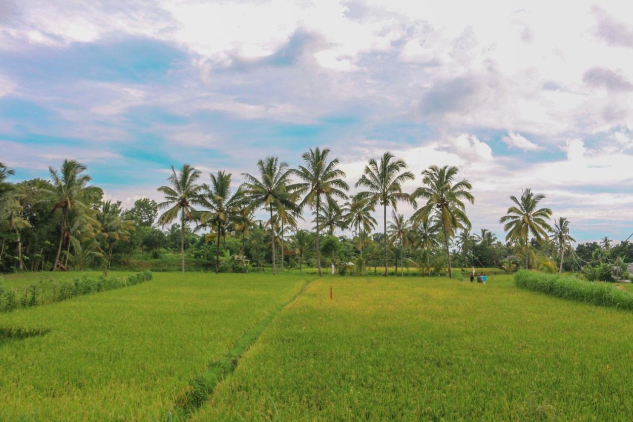 Pondok Rinjani Bungalow 테테바투 외부 사진